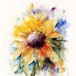 Meet your Posher, Deb